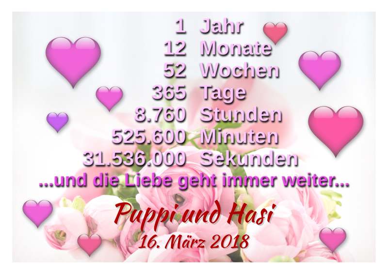 LIEBESBEWEIS MIT HERZCHEN UND ROSA BLUMEN MIT 1 JAHR 12 MONATE 52 WOCHEN 365 TAGE UND DIE LIEBE GEHT IMMER WEITER