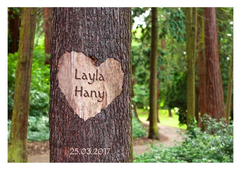 BILD DER LIEBE MIT EINEM AUS DER RINDE AUSGERITZEM HERZ AUF EINEM BAUM MIT DEN NAMEN DES LIEBESPAARES